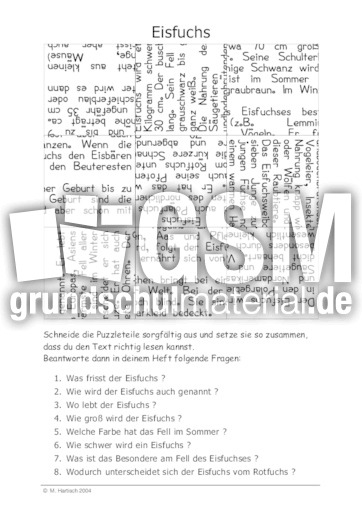 Eisfuchs.pdf